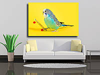 Картина на полотні "Блакитний хвилястий папуга з скейт-бордом на кольоровому фоні "