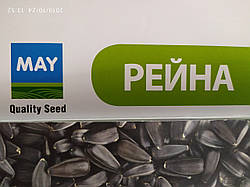 Ранній турецький соняшник Рейну 100 днів, Середньоранній гібрид 35 ц/га стійкий до восьми рас вовчка А-Н. Насіння врожаю 2018 року з оновленим сертифікатом.
