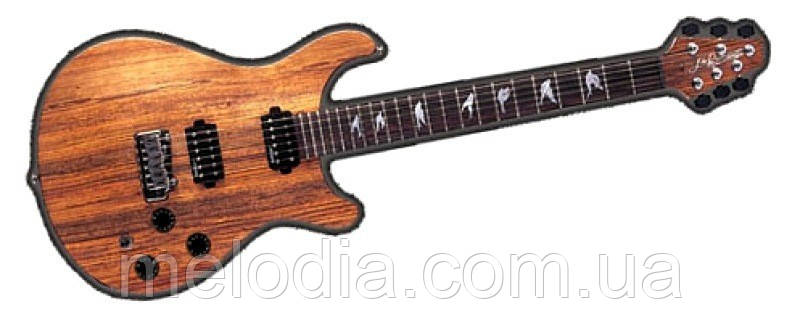 Електрогітара J & D BROTHERS JDDUKE20