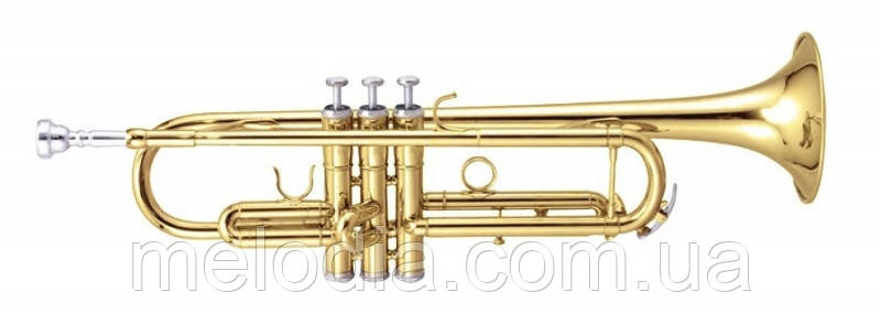 Труба MAXTONE TTC60L2 (TTC234L) труба