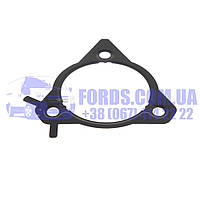 Прокладка топливного насоса FORD TRANSIT CONNECT/MONDEO/FOCUS (1.8TDCI) (1094599/XS4Q9417AC/AR709) ARI-IS