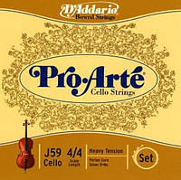 D`ADDARIO J59 4/4H