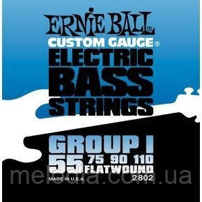 ERNIE BALL P02802