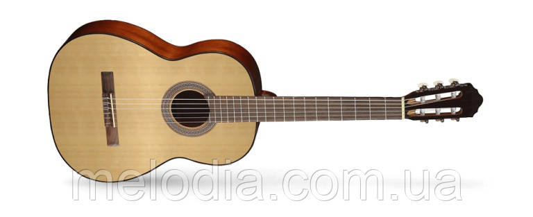 Класична гітара AC100 SG