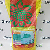 Насіння соняшника (Нертус) Рімis Еліт, фото 2