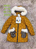 Куртки утеплені для дівчаток оптом розміри 4-12 років, S&D арт. KF 501