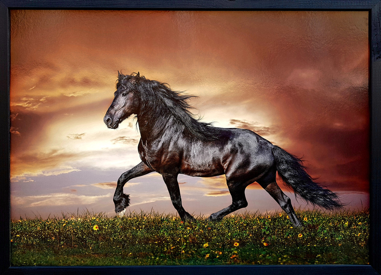 Фотокартина у дерев'яній рамі Horse 1 50х70 см POS-5070-032