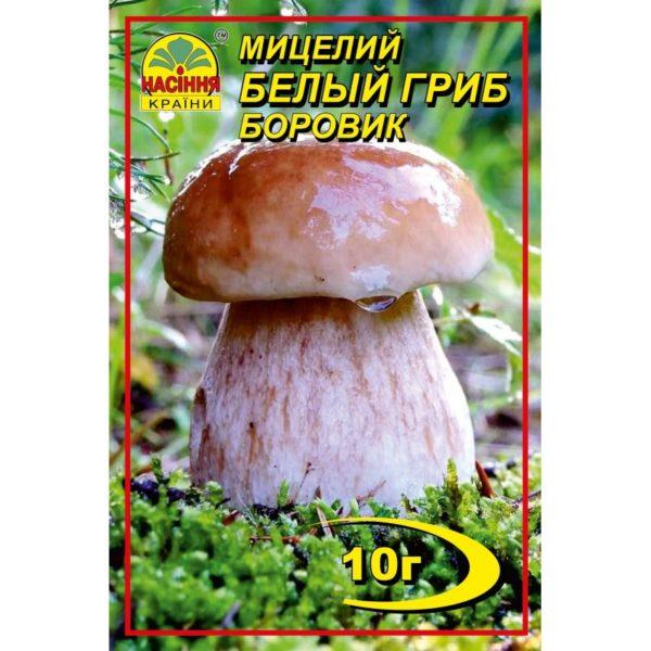 Міцелій білого гриба Боровика, 10 гр