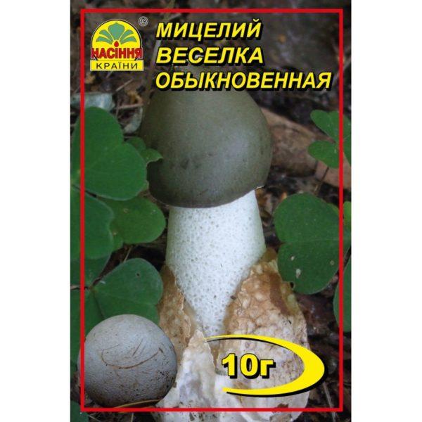 Мицелий гриба Веселка, 10 гр