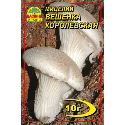 Міцелій гриба Гливи королевської, 10 гр, фото 2