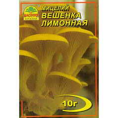 Міцелій гриба Гливи лимонної, 10 гр
