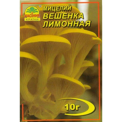 Міцелій гриба Гливи лимонної, 10 гр, фото 2
