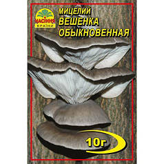 Міцелій гриба Гливи звичайної, 10 гр