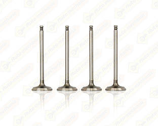 Впускний клапан к-т на Renault Lodgy 2012-> 1.5 dCi — ASAM - 30648