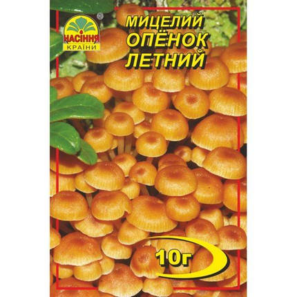 Міцелій гриба Опеньок літній, 10 гр, фото 2