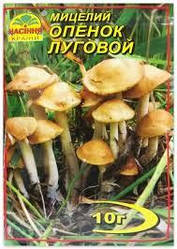Міцелій гриба Опеньок луговий, 10 гр