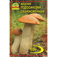 Мицелий гриба Подосиновик обыкновенный, 10 гр