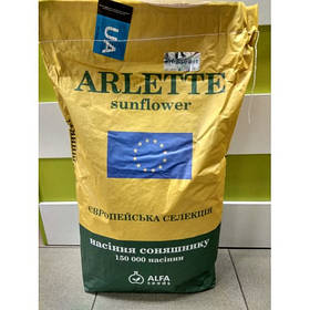 Насіння соняшника Арлет Екстра