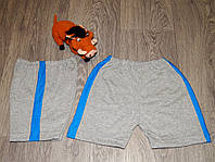 Детские шорты серые, с синим лампасом , Детские шорты и футболки с именами для садиков