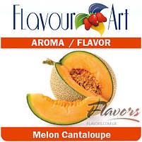 Ароматизатор FlavourArt Melon Cantaloupe, фото 3