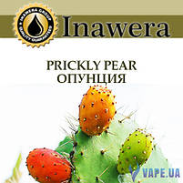 Ароматизатор Inawera Prickly Pear (Опунція), фото 3