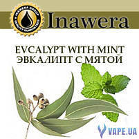 Ароматизатор Inawera Evcalypt With Mint (Евкаліпт З М'ятою), фото 3