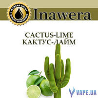 Ароматизатор Inawera Cactus-Lime (Кактус-Лайм), фото 3