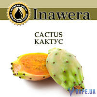 Ароматизатор Inawera Cactus (Кактус), фото 3