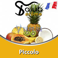Ароматизатор Solub Arome - Piccolo (Суміш екзотичних фруктів, з додаванням цукру), 10 мл, фото 2
