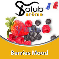 Ароматизатор Solub Arome - Berries Mood (Мікс холодного лимона і смородини в поєднанні...), 10 мл, фото 2