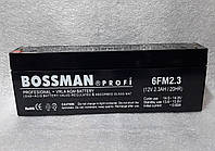 Аккумуляторы свинцово кислотные BOSSMAN profi 12v2.3a