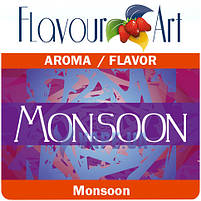 Ароматизатор FlavourArt Monsoon, фото 3