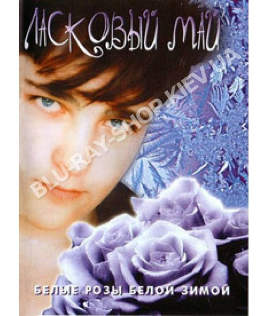 белые розы белой зимой концерт. ласковый май белой зимой. ласковый май белой зимой. белые розы белой зимой концерт. белые розы белой зимой шатунов концерт.