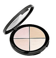 Палетка хайлайтеров Highlighter Palette Aden Professional