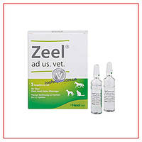 Мета (Zeel) Хель 5 мл/ампула-гомеопатичний засіб (Zeel, Heel)