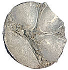 Перламутр перлинний KW205, 1кг, фото 2