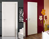 Двері міжкімнатні Rodos Prima, фото 2