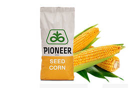 Насіння кукурудзи (Піонер) П9074 Форс Зеа ФАО 320