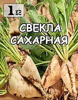 Семена Свекла Сахарная (белая), Украина, 1 кг