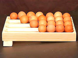 Підставка для яєць "Фоксі" бланже