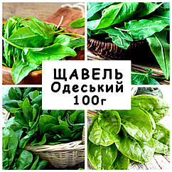 Насіння Щевель Одеський, багаторічний, 100 г