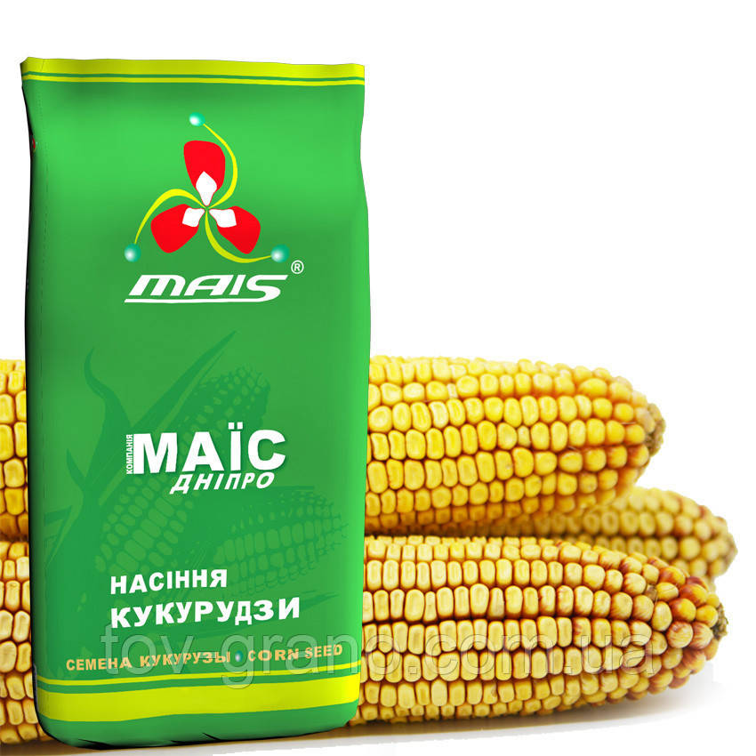 Насіння кукурудзи Маіс гібрид Візир ФАО-350