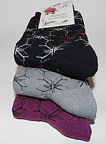 Шкарпетки жіночі махра зимові ТМ Прилуки, фото 3