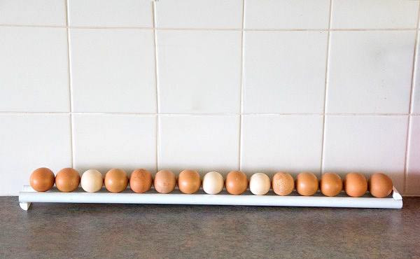 Підставка для яєць "Амера" зефір, фото 1