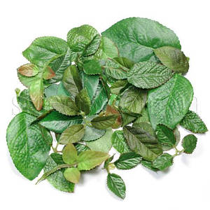 Листочки, заготовки для квітів.