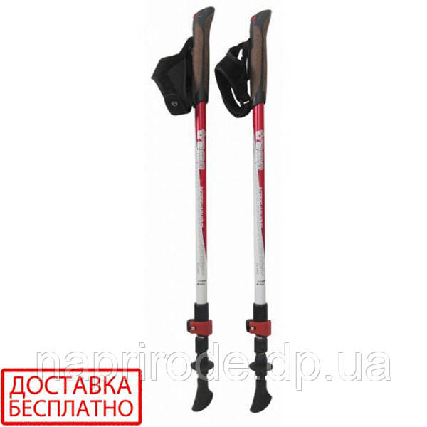 Палиці для скандинавської ходьби Tramp Compact TRR-004