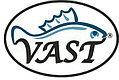 Кивки Vast