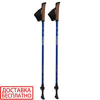 Палки для скандинавской ходьбы Tramp Flash TRR-010