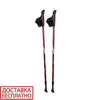 Палки для скандинавской ходьбы Tramp Fitness TRR-011