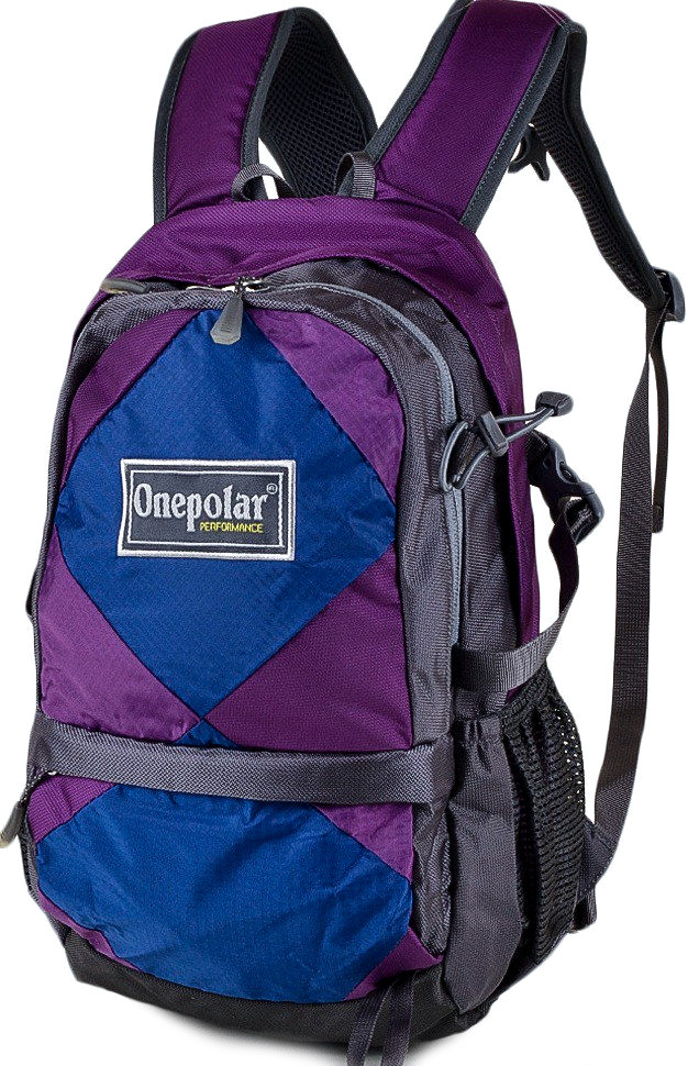 Рюкзак ONEPOLAR W1590 чоловічий фіолетовий